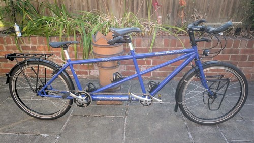 Thorn raven twin - raven,