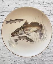 Plate vintage fish, predator, pike Lord Nelson Ware, Brittania