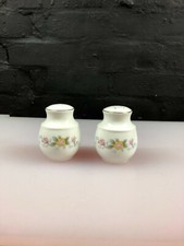 Mayfair China Alpine Salt and Pepper / Cruet Last Set Available