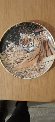 Franklin mint golden tiger - mint,