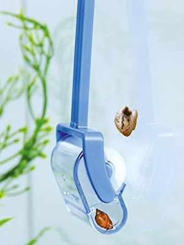Dennerle snailcatcher - dennerle,