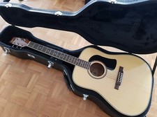 2009 washburn d10 - 2009, d10-s
