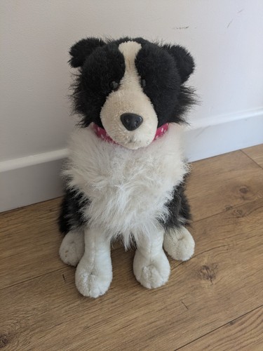 Collie dog richard - collie,