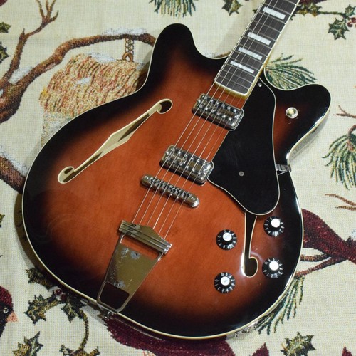 Fender coronado guitar - fender,