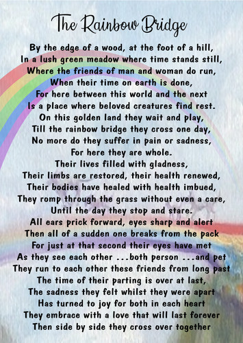 Rainbow bridge pet - bridge, loss