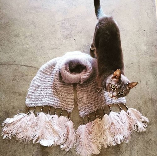 Lynx ostrich feather bead - ostrich,