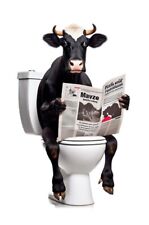 Dairy Cow on Toilet metal sign, Dairy Cow sign, Dairy Cow Plaque