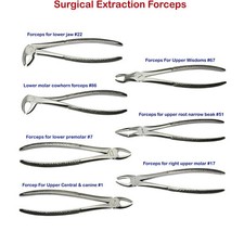 Surgical Dental Extraction Forceps Tooth Extracting Lower Upper Root anterior CE