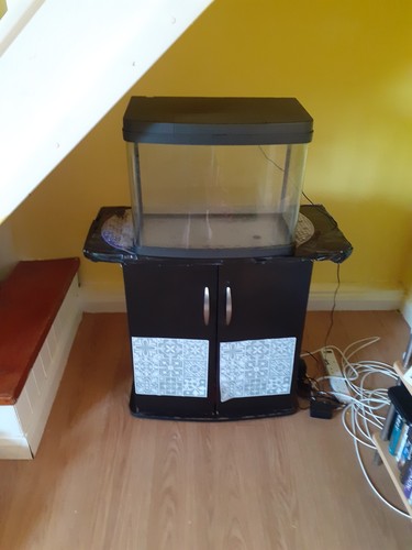 Fish tank medium - tank,