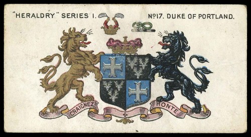 Taddy heraldry - taddy, 'heraldry'