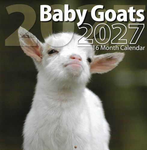 2027 baby goats month sept - baby,