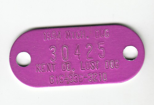 1994 kent county michigan - county,