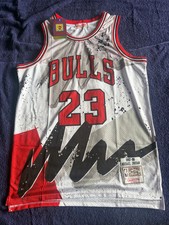Chicago Bulls M&N NBA HardWood