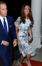 RARE!! Erdem Meryl dress Size