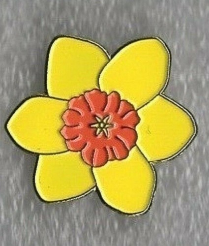 Daffodil pin badge - ., yellow