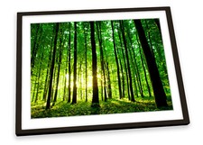 Forest Landscape Sunrise Green FRAMED ART PRINT Picture Poster Artwork