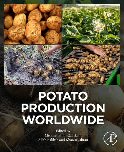 Potato production worldwide - potato,