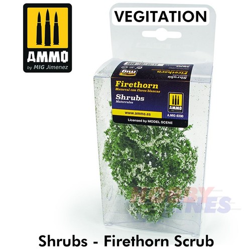 Vegitation shrubs firethorn - vegitation,