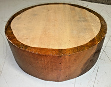 225X75MM LOT 632A LONDON PLANE