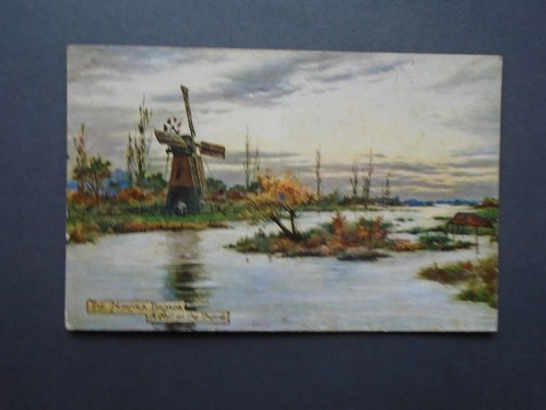 Norfolk painted view a - painted,
