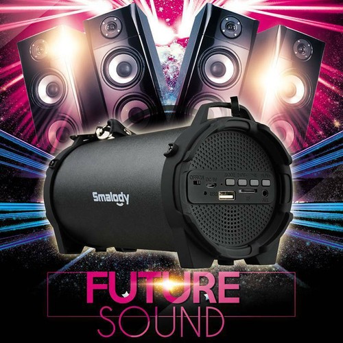 Portable wireless speaker - portable,