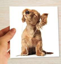 Dachshund Birthday blank card