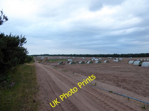 Photo 6x4 pig arks - 6x4,