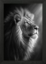 Lion Light Framed Wall Art