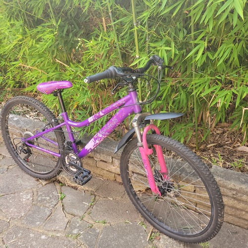24in girls bike - girls,