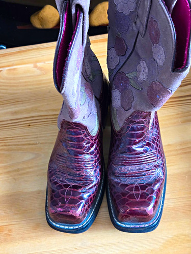 Ariat women western - ariat, women’s