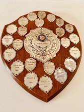 🏆 Engraved Darts Shield