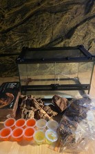 Reptile / invertebrate Glass