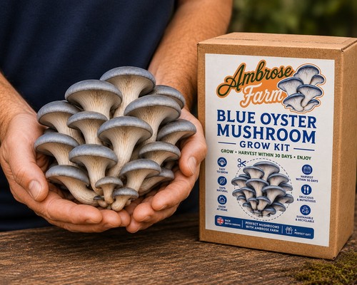 Mushroom grow kit - mushroom, blue