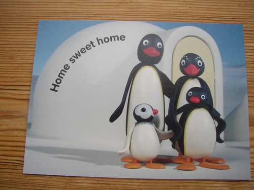 Vtg postcard genuine pingu - postcard,