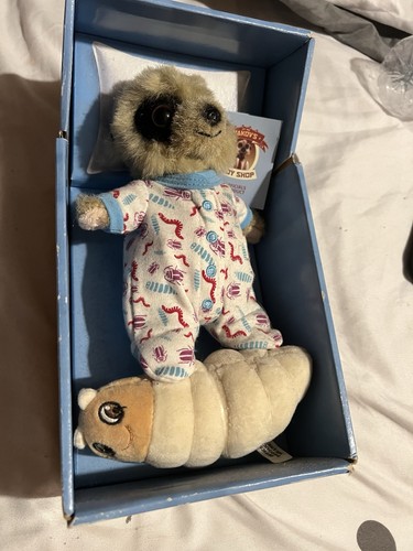 Baby oleg meerkat grub - meerkat,