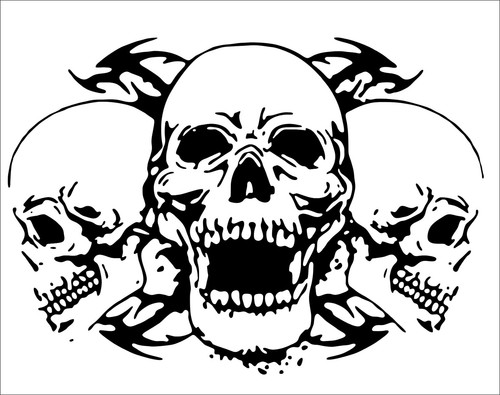 Skull tri tribal - tri,