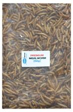 Mealworm Cichlid & Tropical