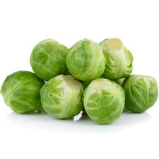 50 Winter Brussels Sprout Seeds English Large Garden & Greenhouse Vegetables