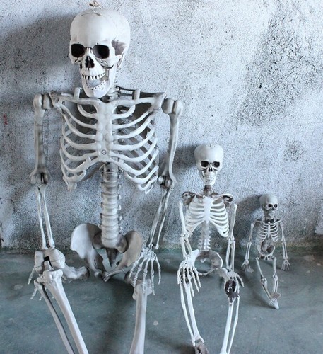 90cm 170cm halloween - 90cm/170cm, life
