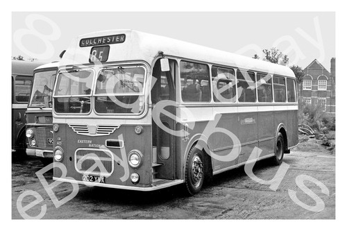 Bus photograph eastern - photograph,