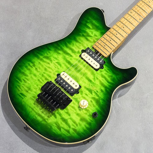 Ernie ball music - ernie, man