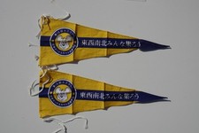 Japanese Boy Scout Hyogo