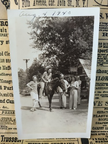 Vintage 1940 photo horse - 1940,