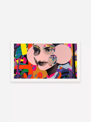 Paul insect cosmodela screen - insect,