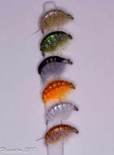Fliegentom assortment of - fliegentom,