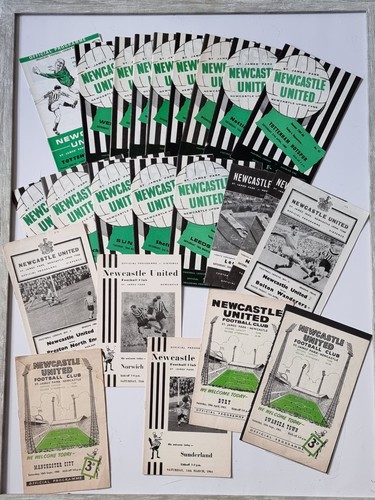 Newcastle united football - united,