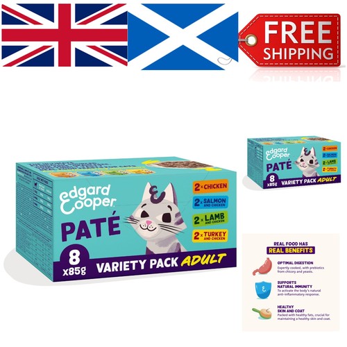 Delicious wet cat food pate - food,