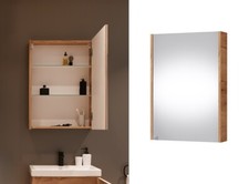 Bathroom Mirror Cabinet