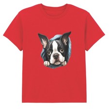 Boston Terrier Puppy Dog