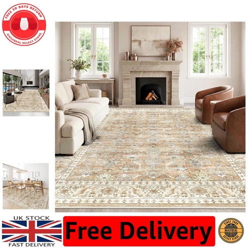 Traditional floral area rug - area,
